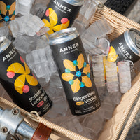 Ginger Beer with Vodka